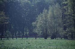 Zwischen Thallwitz und Kollau