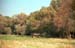 aue_008: 