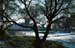 kol_006: 