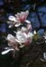 th00_013: 