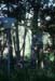 th00_023: 
