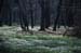 ths_052: 