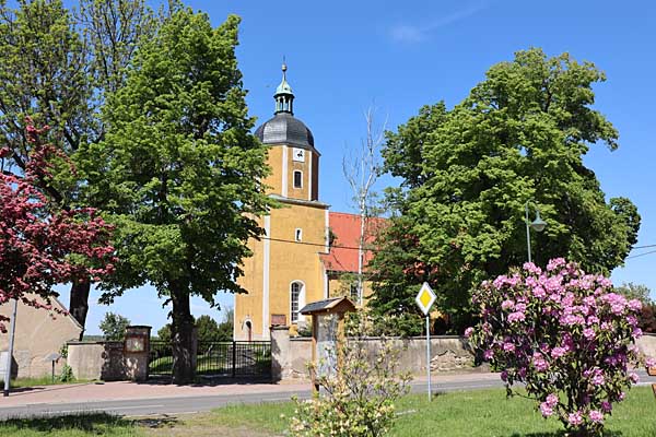 Azaleen und Kirche Böhlitz