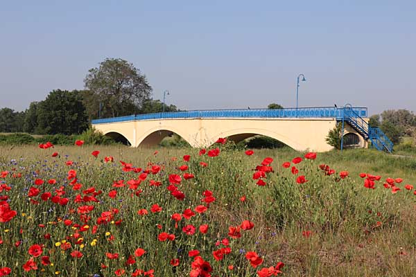 Muldebrücke bei Canitz
