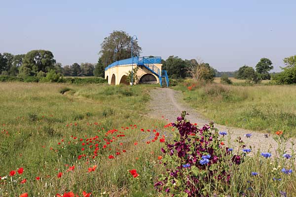 Muldebrücke bei Canitz