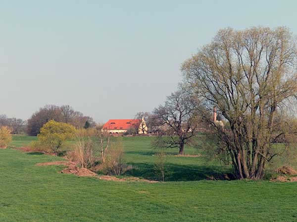 Muldenaue bei Canitz