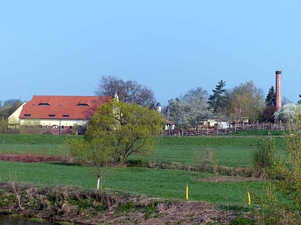 Muldenaue bei Canitz