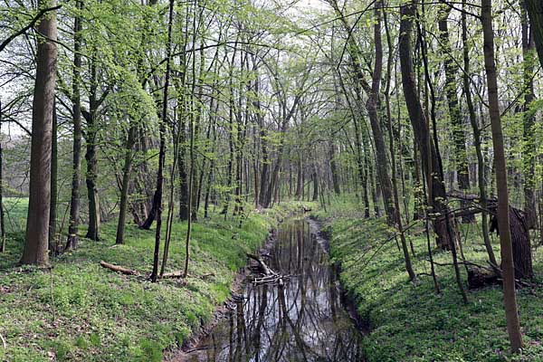 Lossa bei Thallwitz