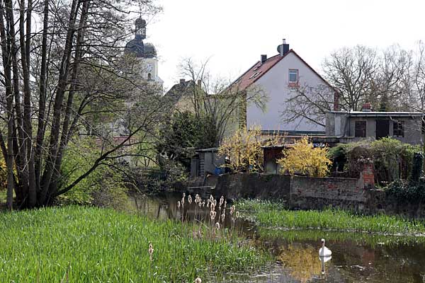 Die Lossa in Thallwitz
