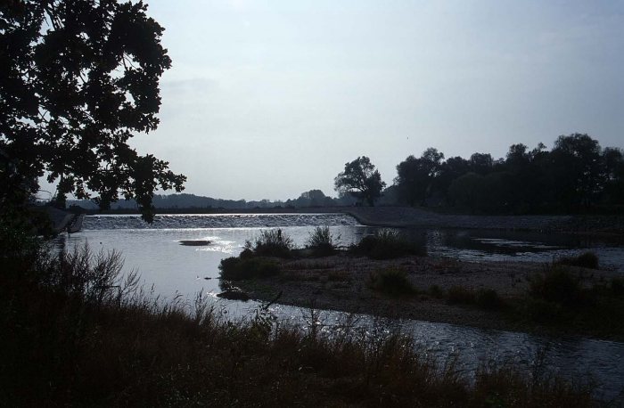 Mulde mit Wehr bei Kollau