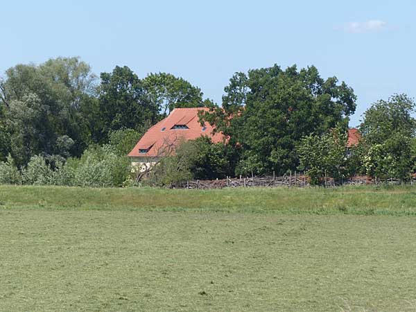 Blick zum Park Canitz