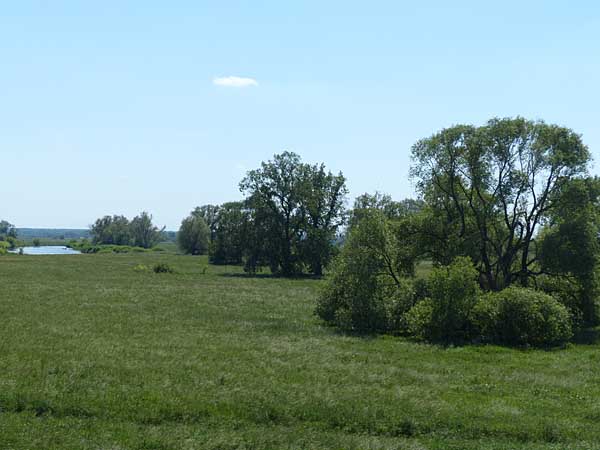 Blick in die Muldenaue bei Canitz