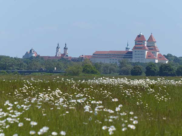 Blick nach Wurzen
