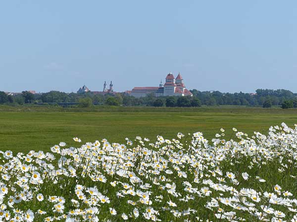 Blick nach Wurzen
