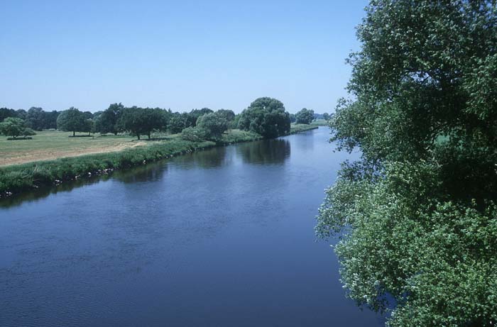 Mulde bei Canitz