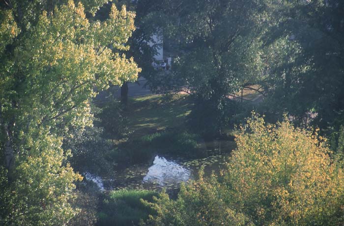Thallwitz - Blick zum Mühlenteich