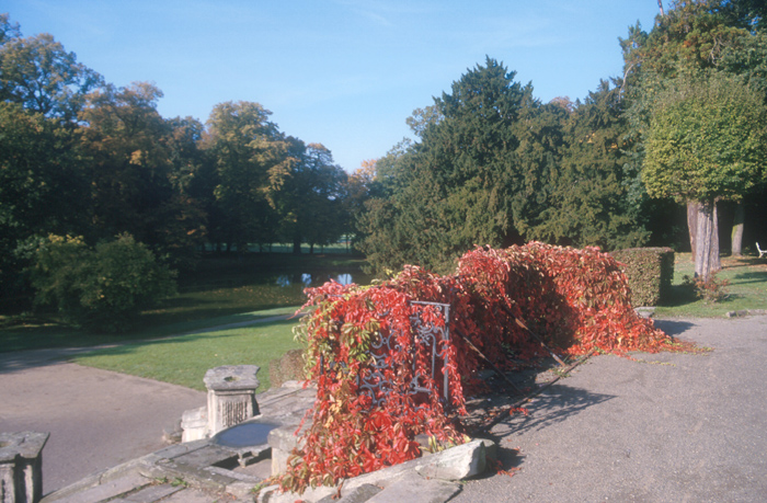 Blick in den Park