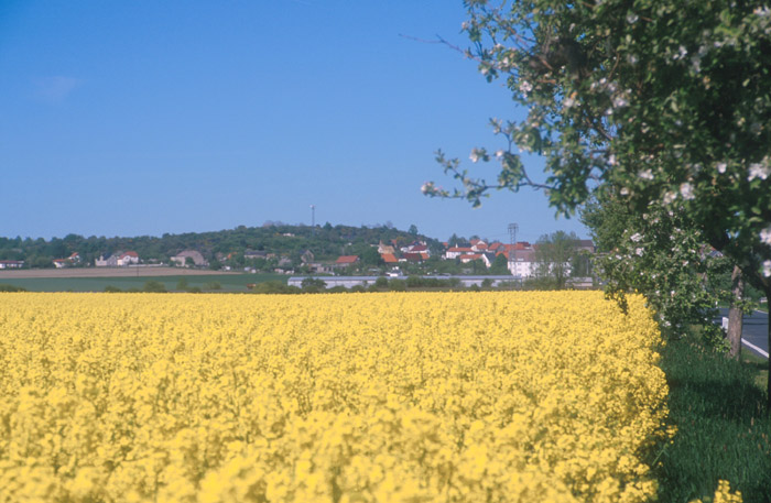 Blick auf Böhlitz