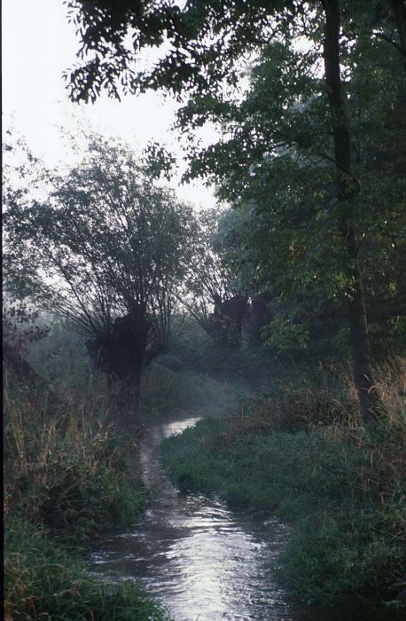 Lossa oberhalb von Thallwitz