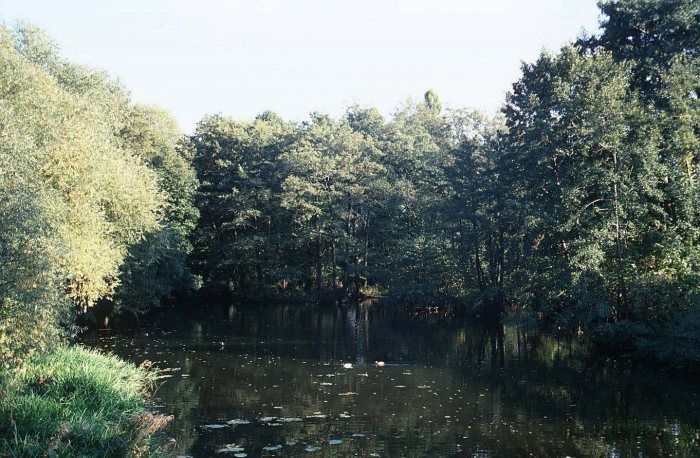 Lossa oberhalb der Schäfereibrücke
