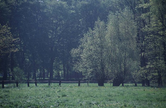 Zwischen Thallwitz und Kollau