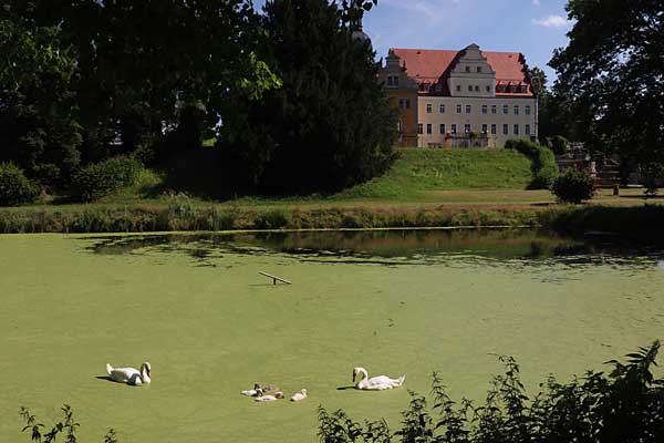 Thallwitz - 