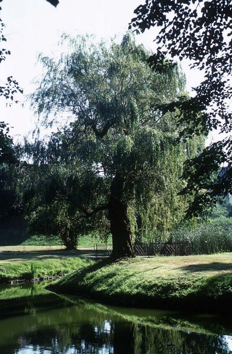 Park Thallwitz