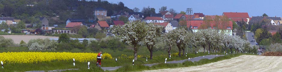 Blick auf Böhlitz von Süden